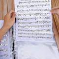 Miniatyrbillede 2 af 5: Musikmappe til noder, A4-papir, dokumentmappe, opbevaring, 30 lommer, nøgle