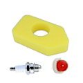 Miniatyrbilde 5 av 5: Pleneservice-sett for Briggs Stratton Sprint-motorer