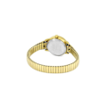 Pikkukuva 2 / 3: Naisten Timex Ladies Easy Reader Indiglo Expander -kello T2H351