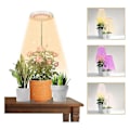 Miniatyrbillede 2 af 3: LED Vækstlys til Indendørs Planter - Halo Plant Lampe med Automatisk Timer 4/8/12/18 Timer - Ideel til Bonsai og Sukkulenter