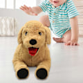 Pikkukuva 5 / 5: Plush-lelu Labrador-koira Pehmolelueläimet 35cm