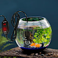 Miniatyrbillede 3 af 4: Justerbar 10w Mini Akvarievarmer Nedsænkelig Fiskekum Varmer Med Digital Display Termostat Til 1-3 Gallons Vandtank zy