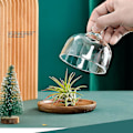 Miniatyrbild 2 av 5: Mini Dessert Serveringsställ Kaktallrik med Kupollock - Multifunktionell Serveringsbricka för Hotell (4-pack)