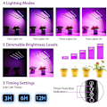 Miniatyrbilde 3 av 3: Plantelampe / plantebelysning med 4 fleksible LED-rør