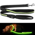Hundkoppel med LED / Koppel för Hund - 175 cm
