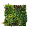 Miniatyrbillede 4 af 4: 3x Kunstig Vægpanel i Plantefibre 1 x 1 m Cassia Bladværk Dekor Have Hjem Grön