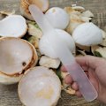 Miniatyrbillede 4 af 5: 3 stk Kokosnødsskraber Professionel Ikke-deformerbar Arbejdsbesparende Kokosnød Æg Værktøj Blød Fleksibel Kokosnød Kød Fjerner Køkkenredskab