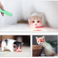 Miniatyrbild 5 av 5: Interaktiv LED-laserpekare för katt, anti-tråkig projektions penna katt leksak (blå)