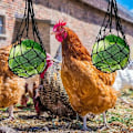 Pikkukuva 5 / 5: Heinäsyöttölaitteet, Nylon Chicken Fruit ja Vegetable Mesh Bag Hay Rack Kanan Coop Uusiokäyttöinen 57cm 2 kpl Musta