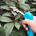 Miniatyrbillede 5 af 5: Haveknive Nye Blomstergren Haveknive Spidse Frugt Haveknive Beskærere (Klassisk Blå)