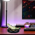 Miniatyrbild 3 av 3: Born Pretty Funny Elektronisk Sångande Sensationsfisk Leksak | Sjungande Och Slående Simuleringsfisk På Hackbräda | Konstig Spoof Sång