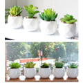 Miniatyrbillede 2 af 5: 4 stk. Simulerede Mini Sukkulenter i Potter, Grønne Planter i Potter (PAT11)