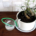 Miniatyrbild 5 av 5: Grön 5-pack Automatisk Bevattnare Automatisk Bevattningsledning Automatisk Bevattningsledning Automatisk Droppledning Droppbevattning för G