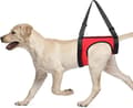 S Magomkrets 48cm, Husdjursväst, Hundsele för stöd