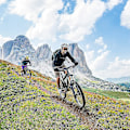 Pikkukuva 5 / 5: Pyörän Vaihdevivut, 3 X 7 Vaihdevivut, 7-Vaihteinen Mtb Vaihdevivut Jarruvaijerilla, Vaihdeindikaattori Ef51 Sarjalle, Maastopyörä, Kilpapyörä