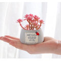 Miniatyrbillede 5 af 5: Simuleret pottet mini simuleret pottet sukkulent mikrolandskab dekorativ bonsai (pink fairy)