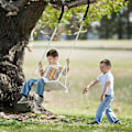 Miniatyrbild 3 av 5: Gear Tree Swing Hängande Remsats - Snabb och Enkel Installation - Extra Långa 5ft Remmar Håller 2000lbs - Säkrare Låsande Karabiner Perfekt för Trädgunga