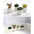 Miniatyrbillede 4 af 5: 4 stk. Simulerede Mini Sukkulenter i Potter, Grønne Planter i Potter (PAT11)