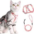 Katthalsband med Koppel, Justerbart Halsband för Katt Kattunge Liten