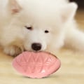 Miniatyrbild 4 av 5: Pipande Hundleksak, 4-pack TPR Tuggleksak Boll Interaktiv Pipande Leksak för Hund Katt Husdjur