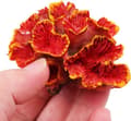 1 stycke orange konstgjord simuleringskoralldekoration, akvarium