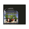 Miniatyrbillede 5 af 5: Fisketanklys LED-klemmelys Fisketanklys LED-lys Hvid og blå Nano-klemmebelysning, der bruges til fisk og planter 23-50 cm