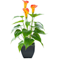 Miniatyrbillede 1 af 5: Kunstig Blomst Rød Orange Calla Lily Lille Kunstig Potteplante med Falsk Bonsai i Sort Potte Velegnet til Hjem, O