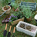 Miniatyrbilde 5 av 5: Hageverktøy, 3 stk Mini plantehageverktøysett Liten spade spade rake håndtak for innendørs utendørs hageplanter