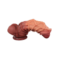 Miniatyrbild 8 av 11: LoveToy: Dual-Layered Silicone Cock with Rope, 27 cm Ljus hudfärg, Mörk hudfärg