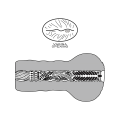 Miniatyrbild 4 av 10: LoveToy: Alien's Pie Masturbator No.1, mörk Mörk hudfärg