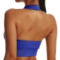 Miniatyrbild 2 av 5: Halterneck Sports BH Backless Fitness Bustier Vadderad Push Up BH för kvinnor Blue M