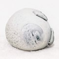 Miniatyrbild 2 av 5: Seal Kudde 30cm Söt Chubby Seal Plyschleksak Gosedjur null none