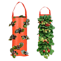 Miniatyrbild 3 av 4: Tyg jordgubbar hängande plantering släpande växter växa påse - on stock orange 4 Pockets