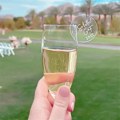Pikkukuva 8 / 10: 10 Drink Marker Tags Vieras Nimikyltti SILVER HEXAGONAL - log Silver Hexagonal-Hexagonal