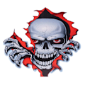 Pikkukuva 1 / 10: 3 Skeleton Skull Autotarrat Autojen korit naarmuilla - spot-myynti D