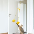 Pikkukuva 3 / 8: 3 kpl Cat Toy Self-hey - korkea laatu 3