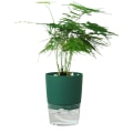 Miniatyrbild 5 av 10: 1/2 st självvattnande blomkruka Lazy blomkruka GRÖN M - spot sales Green M