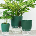 Miniatyrbild 9 av 10: 1/2 st självvattnande blomkruka Lazy blomkruka GRÖN M - spot sales Green M