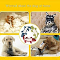Pikkukuva 6 / 7: Funny Soft Pet Puppy Chew Play Squeaker Squeaky Cute Pehmo - spot-myynti Blue