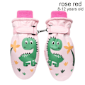 Pikkukuva 1 / 10: Lasten hiihtohanskat Pitkähihainen käsine ROSE RED 8-12 VUOTTA - spot ale