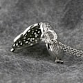 Pikkukuva 7 / 10: Heart Pocket Fob -kellot - spot-myynti 3