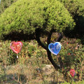 Pikkukuva 10 / 10: Heart Wind Spinner Geometric Art BLUE - log