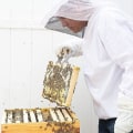 Miniatyrbild 4 av 4: Biodlarskyddskläder biodlarjacka med huva - on stock