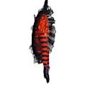 Miniatyrbild 3 av 9: Kreativ Halloween Häxa Ben Design Krans Rustik Enkel Inredning - stock orange