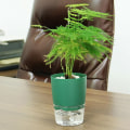 Miniatyrbild 7 av 10: 1/2 st självvattnande blomkruka Lazy blomkruka GRÖN M - spot sales Green M