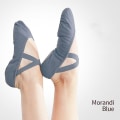 Miniatyrbilde 2 av 5: Dame Ballettsko Dans Voksen Barn Balettsko Myk Såle Profesjonell Lerret Dansetreningssko For Ballett New arrivalB 27