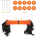 Miniatyrbilde 5 av 5: Agility Ladder Speed Ladder 6M 12-Rung med 10 kjegler og 4 plugger