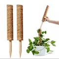 Miniatyrbillede 3 af 5: 2 stk. 11,8'' mosstokke plantestokstøtte til klatreplanter Coco Coir Totem-pinde til potteplanter til at vokse opad