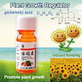 Miniatyrbild 2 av 5: 20ml Gibberellic Acid Vätska för Växttillväxt 920 Växttillväxtfrämjande