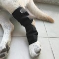 Miniatyrbillede 3 af 5: Justerbar Hunde-Hælbeskytter, Knæpuder til kæledyr, Ledbånd, Beskytter og Forebygger Skader til Kæledyr